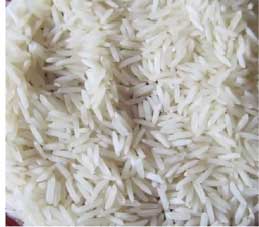 Manufacturers Exporters and Wholesale Suppliers of Sharbati White Rice Nagpur Maharashtra